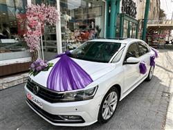 فولكسفاغن باسات